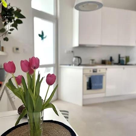 Apartman Olomouc Appartement