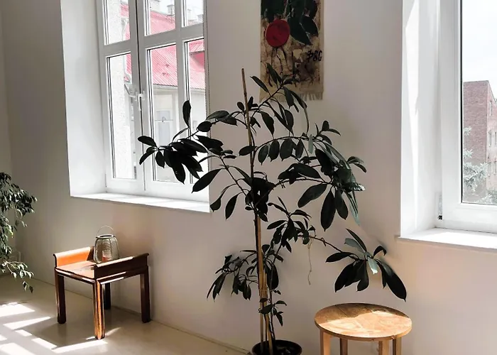 Апартаменты Apartman Olomouc