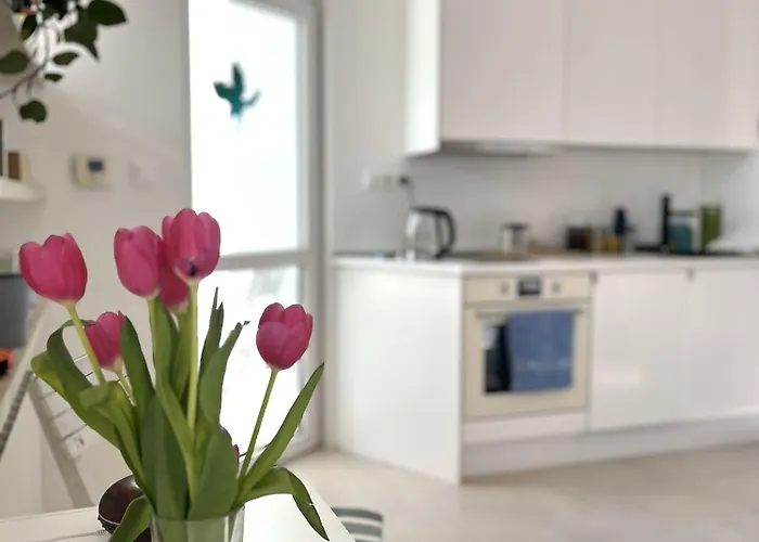 Apartman Olomouc Апартаменты